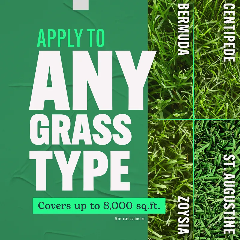 Scotts Turf Builder Southern Lawn Food image number 5.0