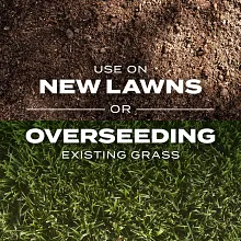 Scotts&reg; Turf Builder&reg; Rapid Grass Tall Fescue Mix image number null