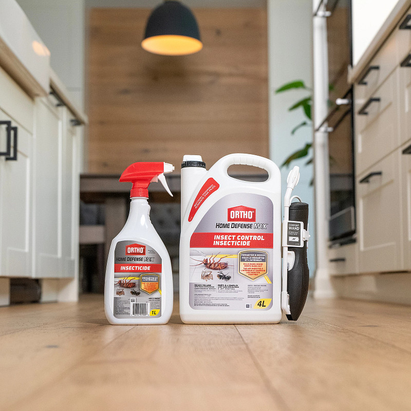 Ortho&reg; Home Defense Max&reg; Perimeter & Indoor Insect Control Ready-To-Use image number 6