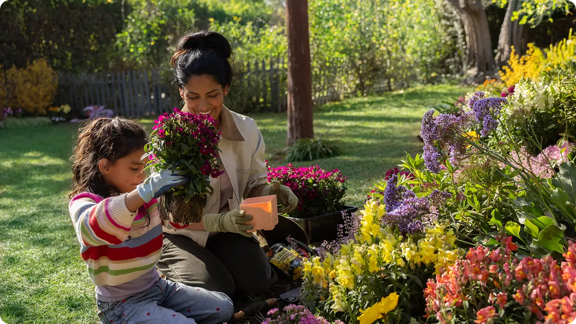 A mother and her young daughter planting flowers together in their garden bed that already has multiple beautifully colored flowers. In the background is their background with a back fence and some dense tree coverage. 