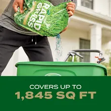 Scotts&reg; Turf Builder Rapid Grass&trade; Southern Gold&reg; Blend for Tall Fescue Lawns image number null