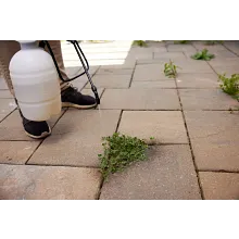 Roundup&reg; Concentrate Non-Selective Herbicide image number null