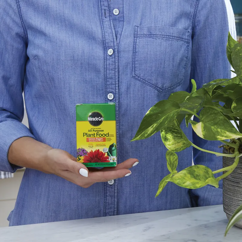 Miracle-Gro&reg; Water Soluble All Purpose Plant Food Image 3