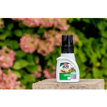 Savon insecticide Ortho&reg; Bug B Gon&reg; ECO Concentr&eacute; image number null