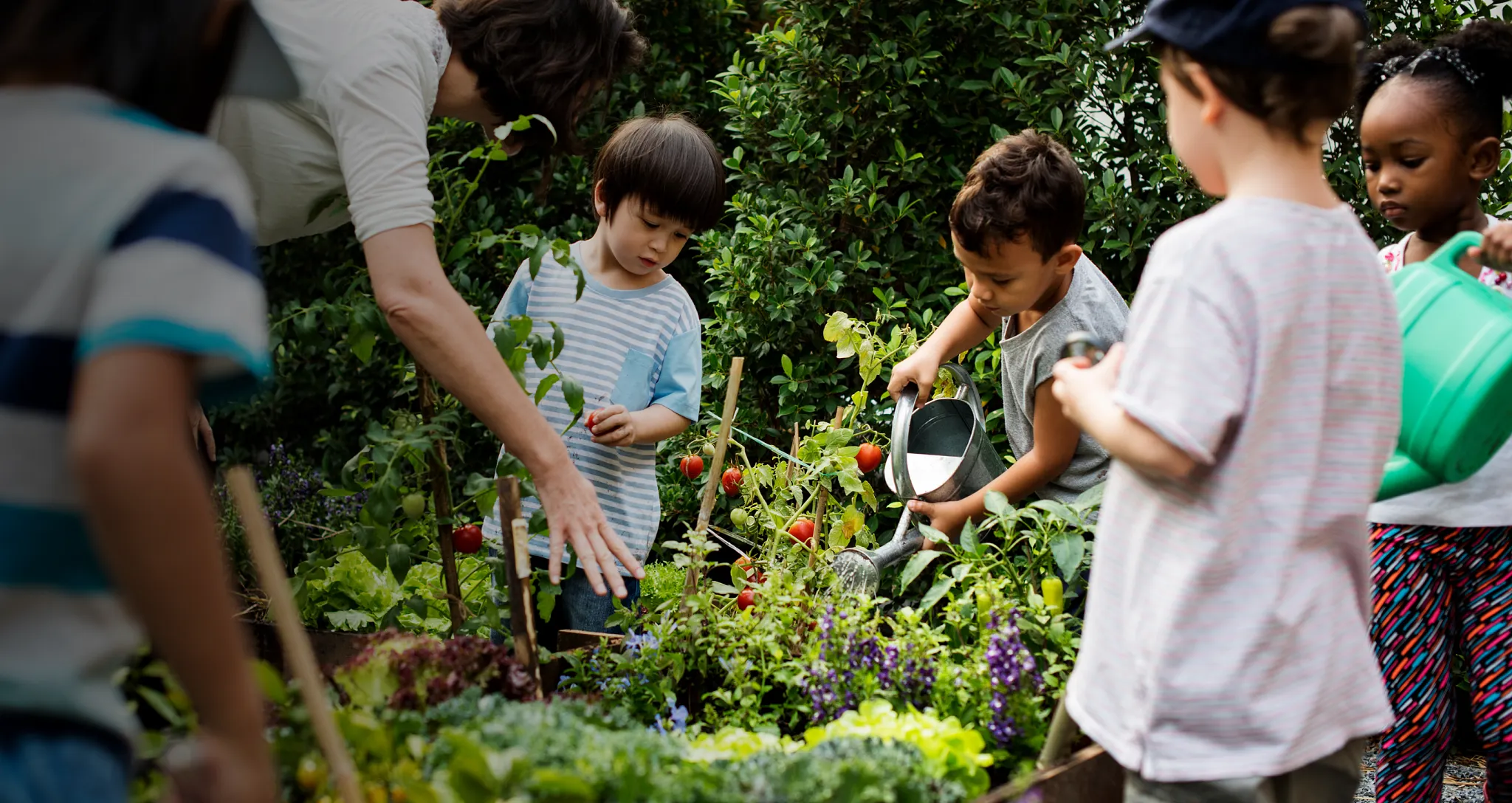Photo of young children smiling and gardening outdoors, watering vegetables with green cans.
