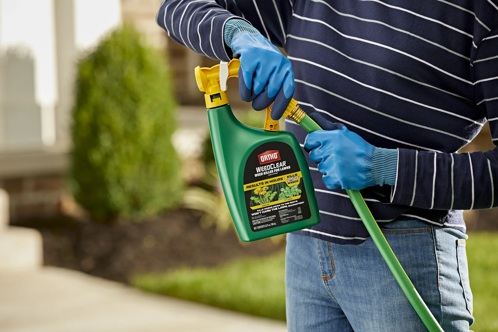 A man hooks up Ortho WeedClear Ready-To-Spray to a garden hose while wearing gloves.