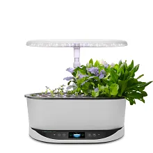 Seed Starting System for 2019 Bounty Models image number null