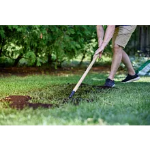 Turf Builder&reg; Overseeding Mix Seed And Starting Fertilizer image number null