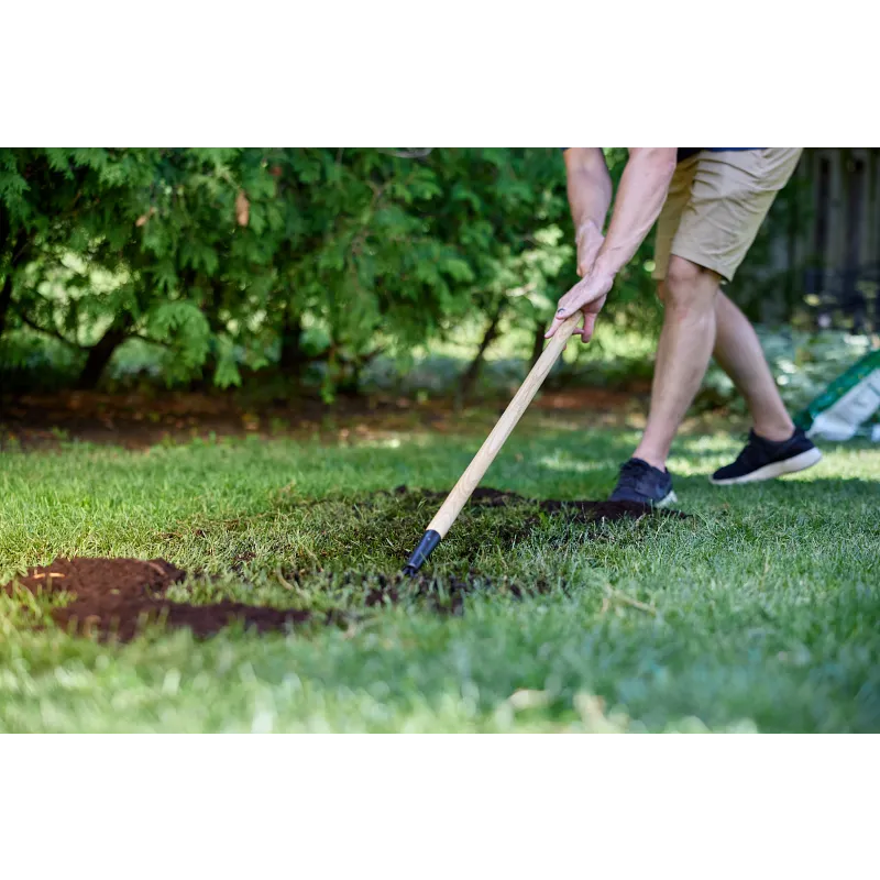 Turf Builder&reg; Overseeding Mix Seed And Starting Fertilizer image number 5.0