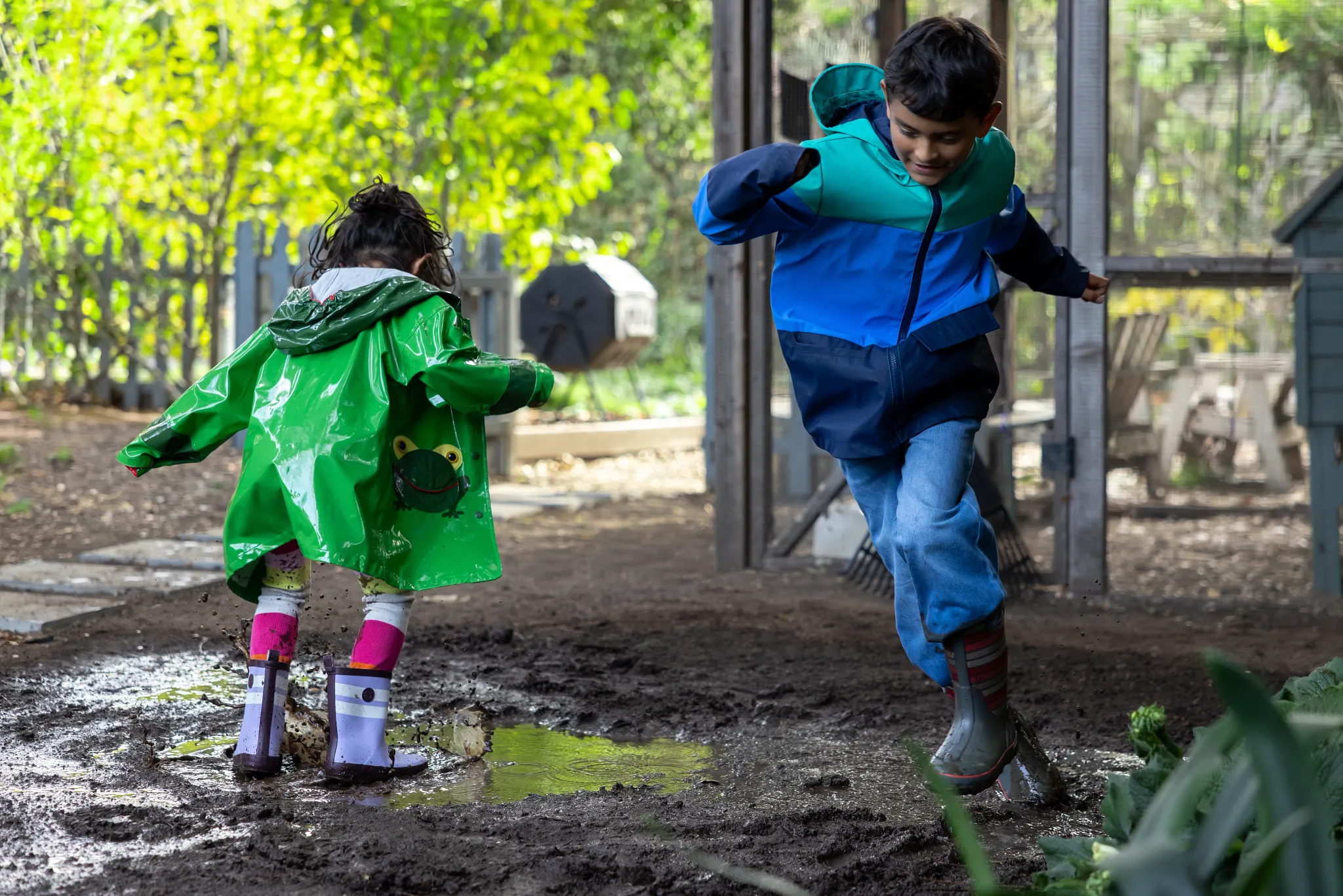 A little boy in a blue striped rain jacket in jeans with rain boots and a little girl with her back turned in a green rain jacket with a frog on it in yellow and pink leggins and purple rain boots jumping in mud puddles in their dirt filled back yard with a chicken coup, a fence and green trees in the background