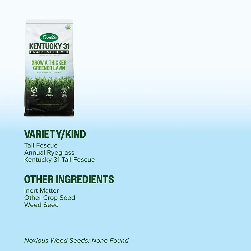Scotts Kentucky 31 Grass Seed Mix image number 10.0