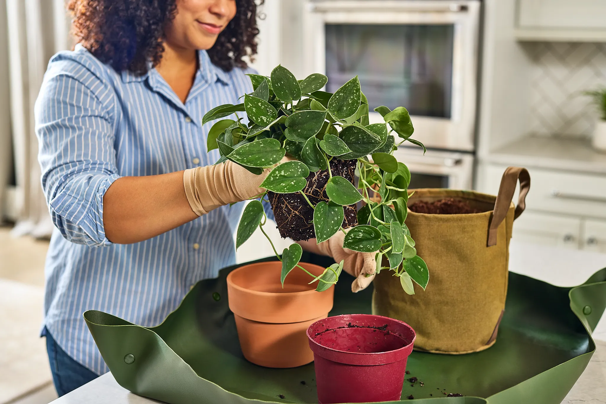 A woman is repotting an ivy plant