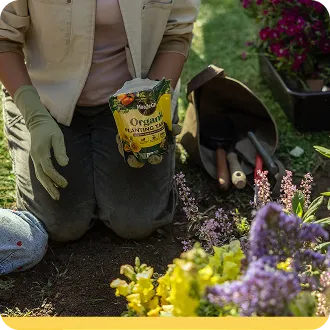 A person kneeling in the garden putting down Organic plant food
