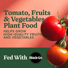 Miracle-Gro&reg; Shake 'N Feed&reg; Tomato, Fruit & Vegetable Plant Food image number null