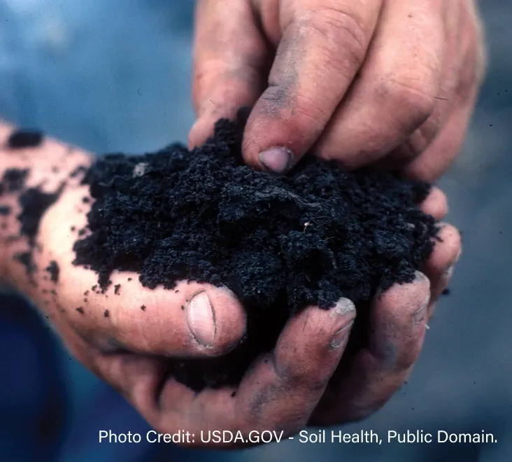 Person holding a clump of soil - Photo Credit: USDA.GOV - Soil Health, Public Domain