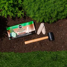 Evergreen Fertilizer Spikes image number null