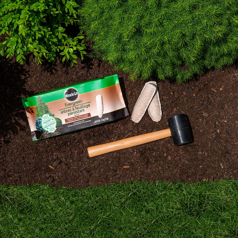 Evergreen Fertilizer Spikes image number 2.0