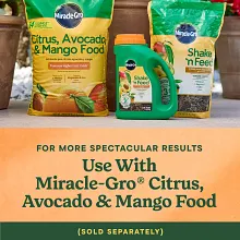 Miracle-Gro&reg; Citrus, Avocado, & Mango Food image number null