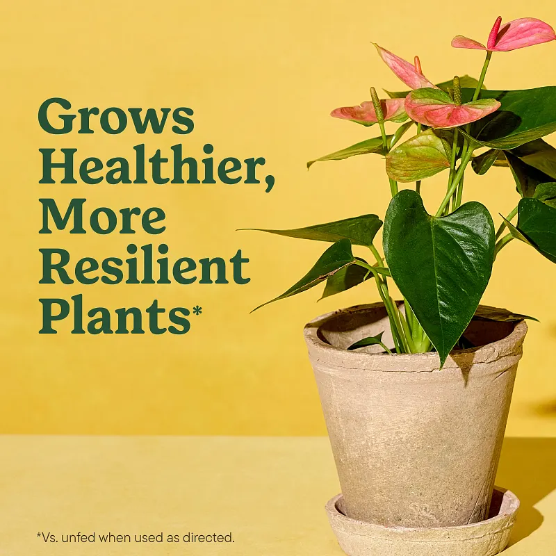 Indoor Potting Mix for All Plants image number 3