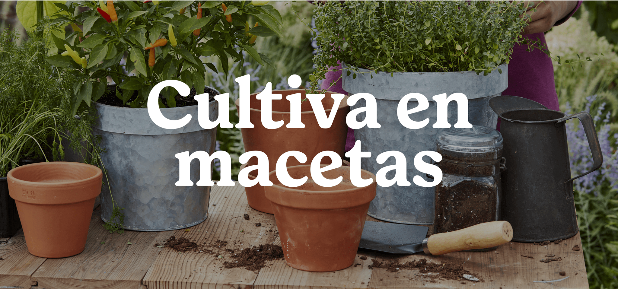 table with multiple planters with text overlay Cultivando en macetas 