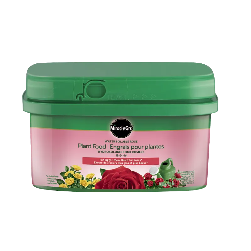 Engrais hydrosoluble pour rosiers image number 1.0
