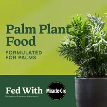Miracle-Gro&reg; Shake 'N Feed Palm Plant Food image number null