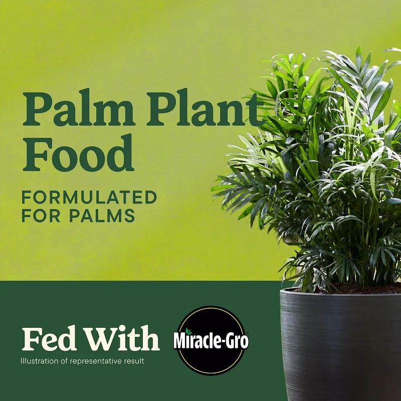 Miracle-Gro&reg; Shake 'N Feed Palm Plant Food image number 2.0