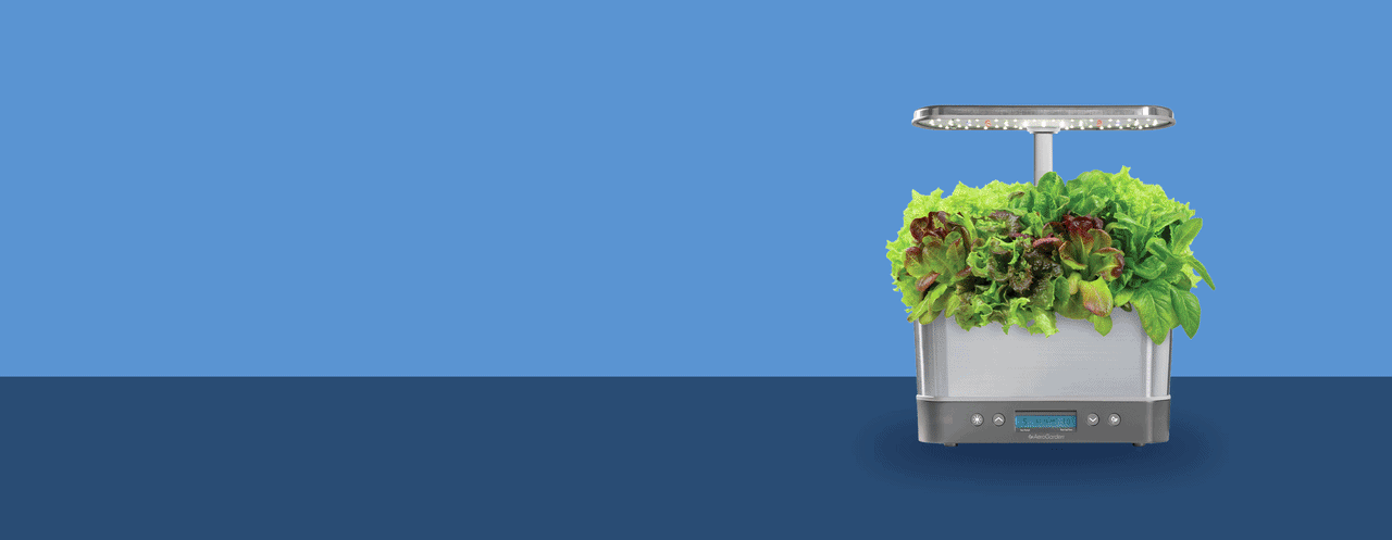 Aerogarden on a blue background
