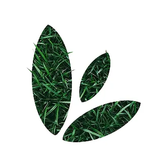 Scotts miracle gro logo