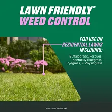 Ortho Chickweed, Clover & Oxalis Killer for Lawns Concentrate image number null