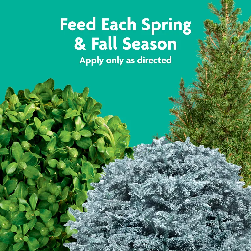 Miracle-Gro&reg; Tree & Shrub Plant Food Spikes Image 4