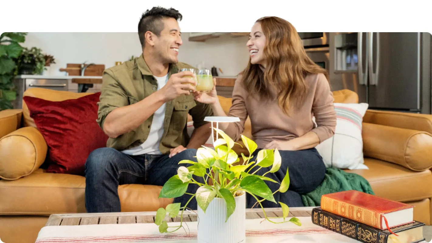 A smiling couple toasting drinks on a couch behind a coffee table with books and a potted houseplant.