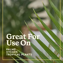 Miracle-Gro&reg; Shake 'N Feed Palm Plant Food image number null