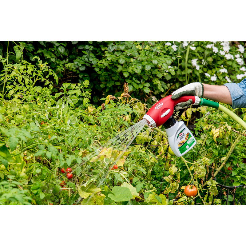 Savon insecticide Ortho&reg; Bug B Gon&reg; ECO Concentr&eacute; image number 6