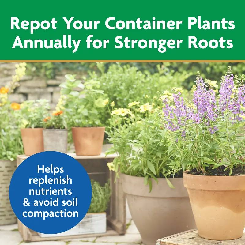 Miracle-Gro&reg; Moisture Control&reg; Potting Mix Image 9