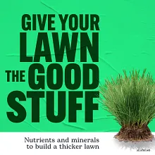 Scotts Turf Builder Lawn Food, 12.6 lbs. image number null