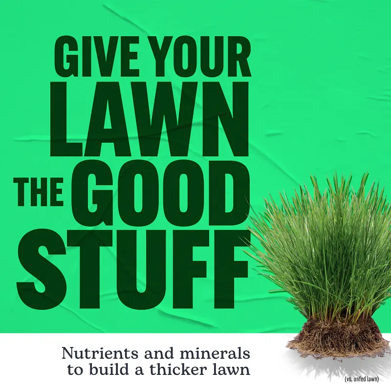 Scotts Turf Builder Lawn Food, 12.6 lbs. image number 10.0