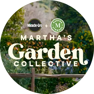 Martha's Garden Collective