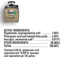 Roundup&reg; Ready-To-Use Extended Control Weed & Grass Killer Plus Weed Preventer II with Pump 'N Go&reg; 2 image number null