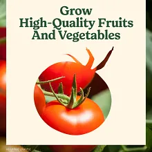 Miracle-Gro&reg; Shake 'N Feed&reg; Tomato, Fruit & Vegetable Plant Food image number null