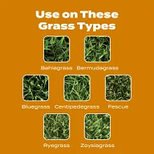 Scotts&reg; Turf Builder&reg; WinterGuard&reg; Fall Weed & Feed₅ image number null