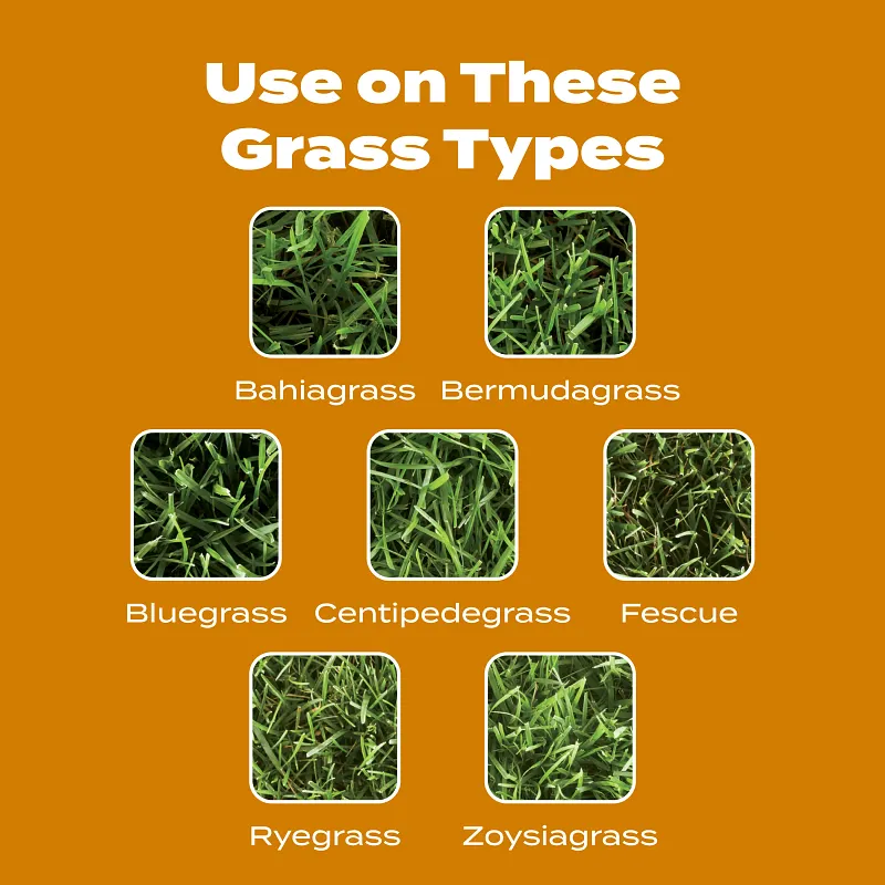 Scotts&reg; Turf Builder&reg; WinterGuard&reg; Fall Weed & Feed₅ image number 5.0