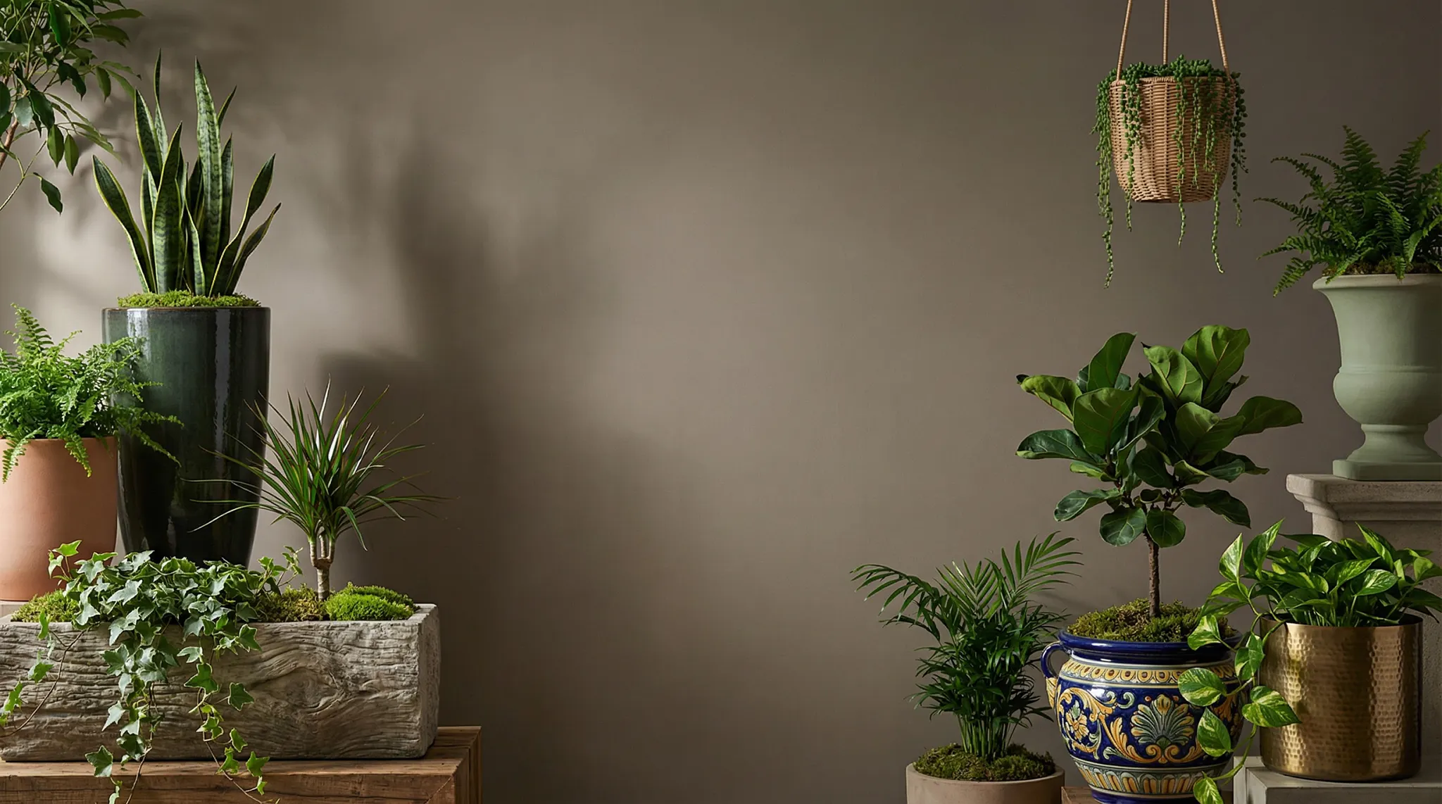 Large wall with many plants