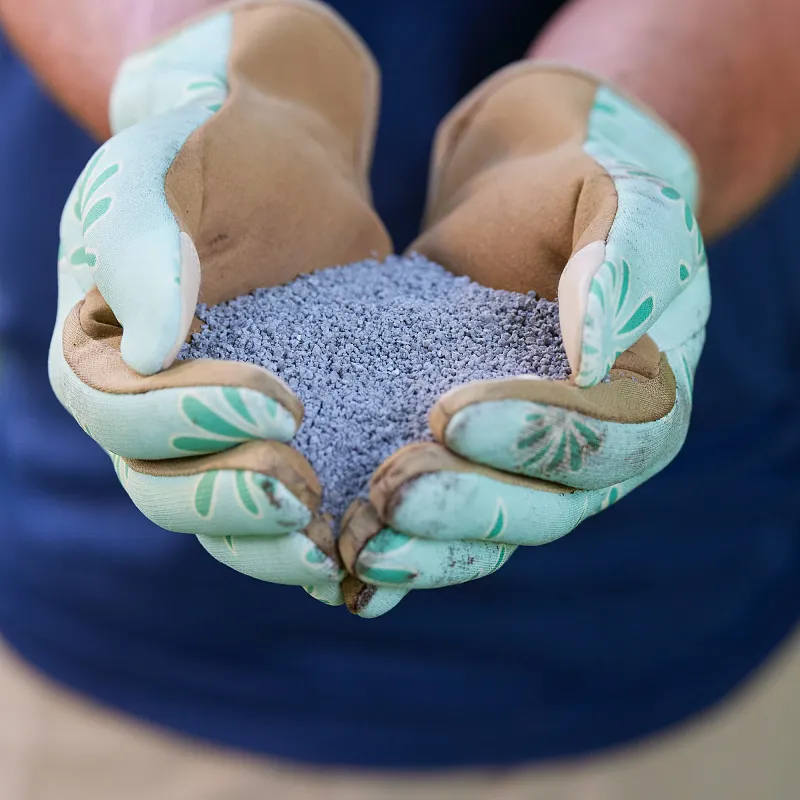 Turf Builder Small Lawns image number 5.0