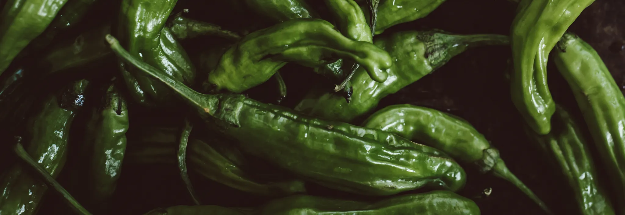 A top-down shot of several fresh, bright green shishito peppers scattered across a dark background, positioned below headline text reading "If you like sweet peppers, grow shishito peppers" and introductory body copy about gardening alternatives and cooking tips for shishito peppers.