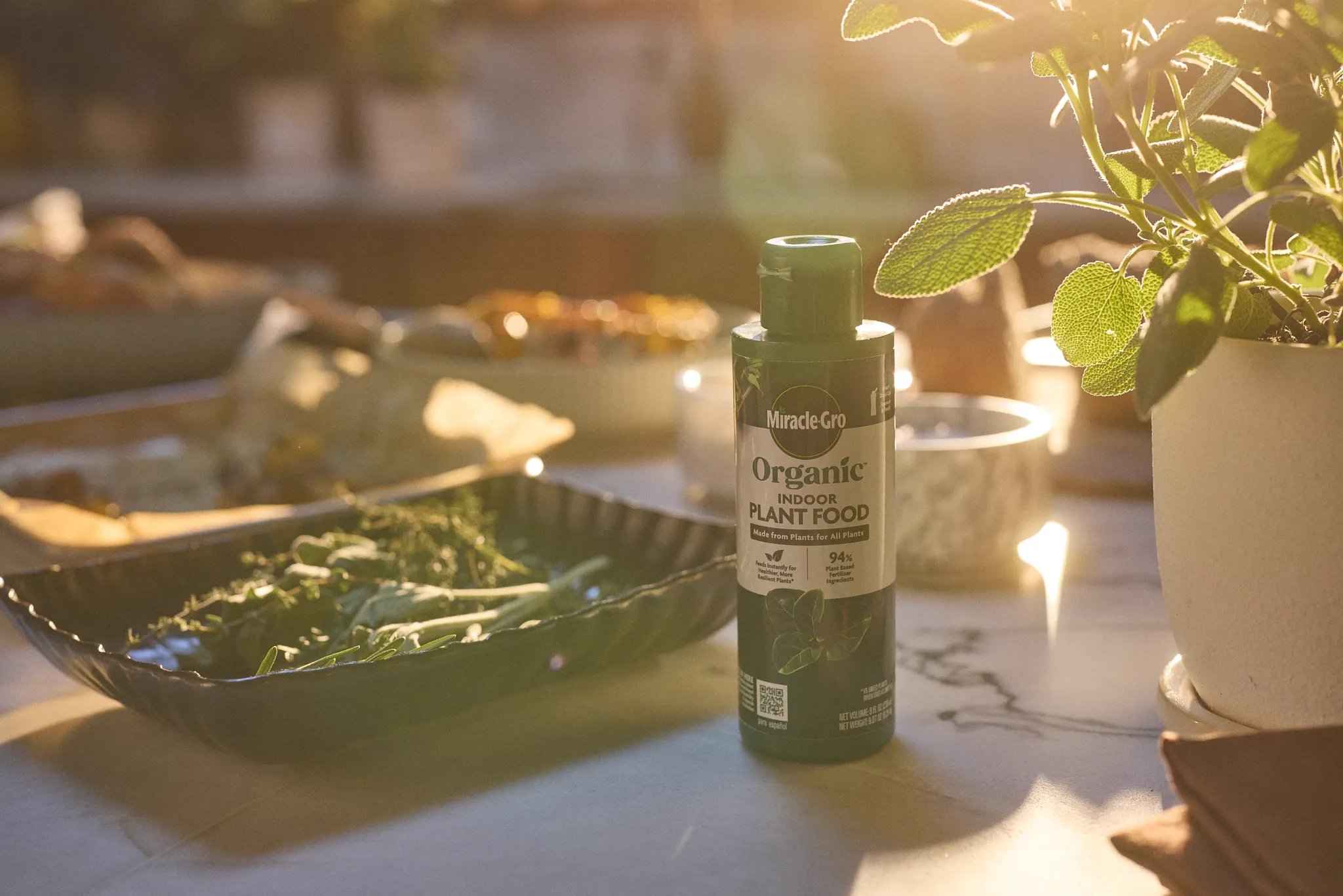 Bottle of Miracle-Gro Organic Indoor Plant Food on a counter next to a potted sage plant