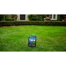 Scotts&reg; Turf Builder&reg; Quick + Thick&trade; Grass Seed Sun - Shade image number null