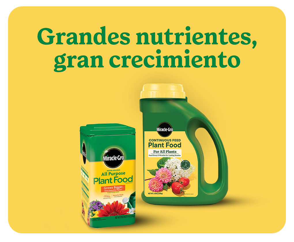 collection of miracle gro outdoor feeding products with text overlay Grandes nutrientes, gran crecimiento 