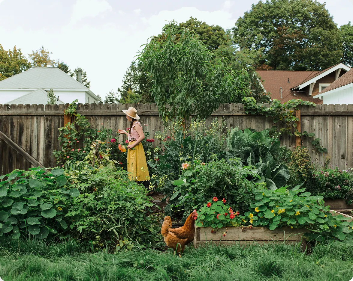 Liberty Hyde