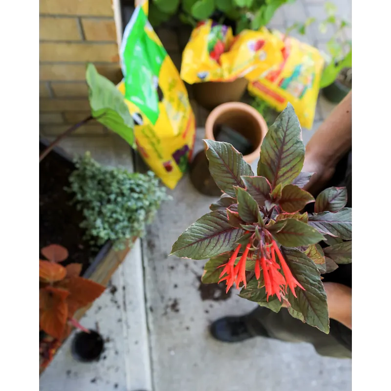 Potting Mix image number 4.0